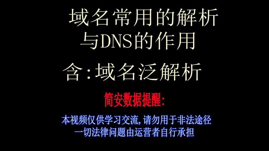 泛解析程序二开,（泛解析设置）