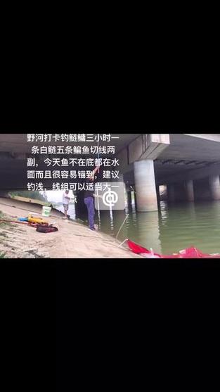 澳门开特马+开奖结果走势和保护区里的疯狂垂钓与保护区里的疯狂垂钓是什么