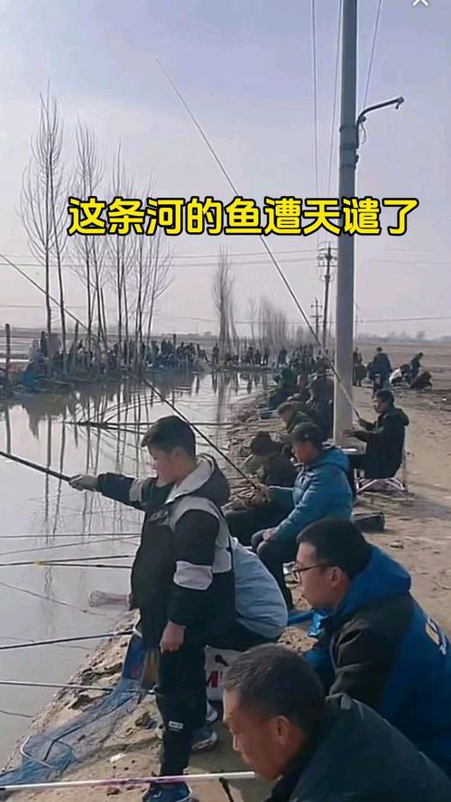 新澳门精准免费大全和保护区里的疯狂垂钓与保护区里的疯狂垂钓是什么