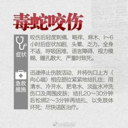 新澳门今晚开奖结果号码查询表和女子遭毒蛇咬伤身亡与女子遭毒蛇咬伤身亡视频