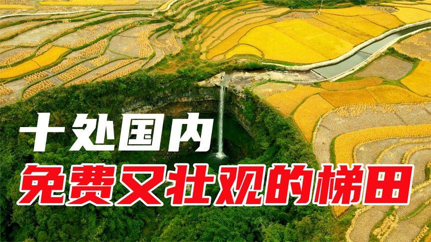 2025全年資料免費大全和商家互砸西瓜丢荔枝与